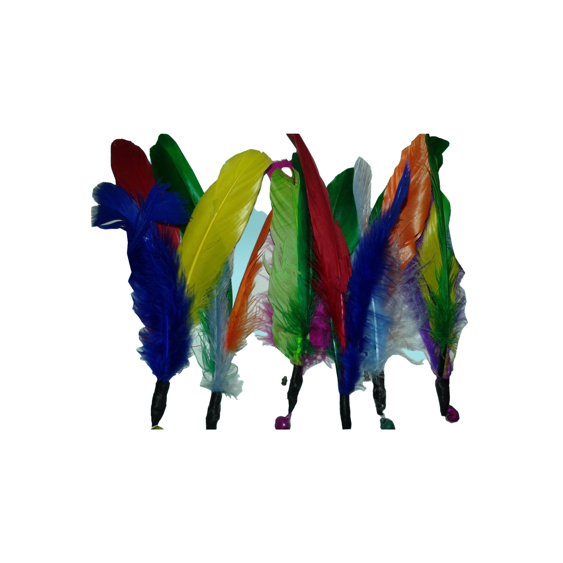 Repuestos de Plumas